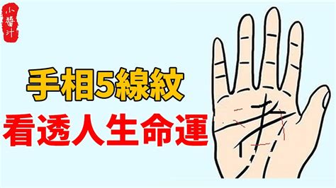 祖蔭紋|手掌上紋線所代表的意義－心理暨命理師 提摩揚(Timoyang) 的不。